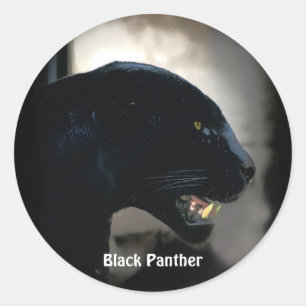 South American Black Panther Wildlife Stickers