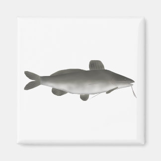 South American Catfish Magnet
