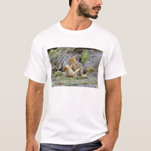 South American Grey Fox (Lycalopex griseus) pair 2 T-Shirt