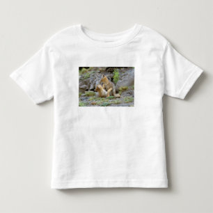 South American Grey Fox (Lycalopex griseus) pair 2 Toddler T-Shirt