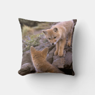 South American Grey Fox (Lycalopex griseus) pair Cushion