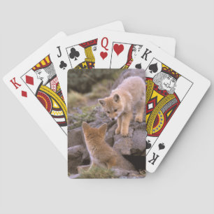 South American Grey Fox (Lycalopex griseus) pair Playing Cards