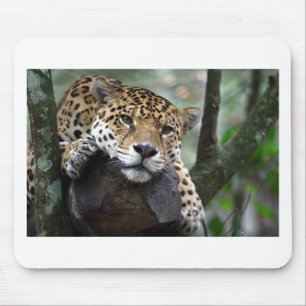 South American Jaguar Mouse Mat