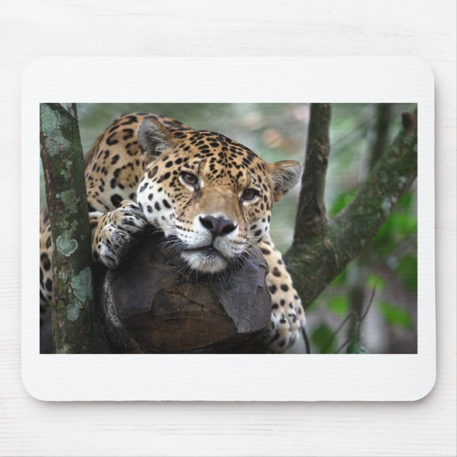 South American Jaguar Mouse Mat (Front)