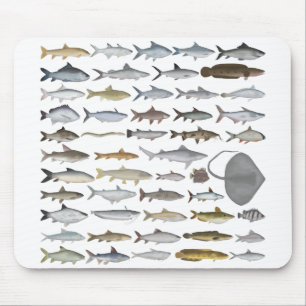 South Asia Freshwater Fish Group Mouse Mat