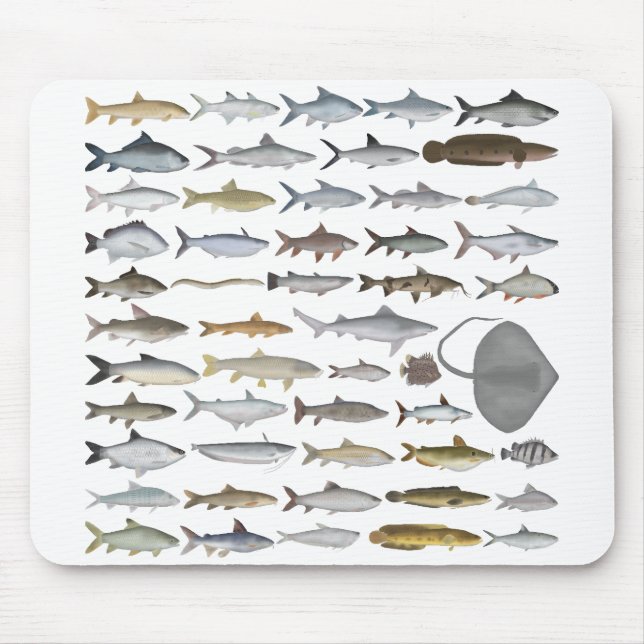 South Asia Freshwater Fish Group Mouse Mat (Front)