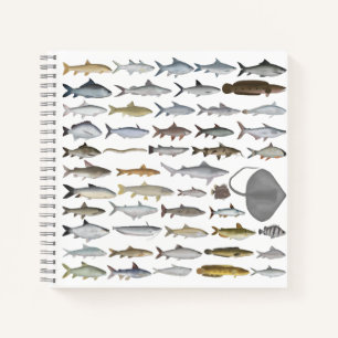 South Asia Freshwater Fish Group Notebook