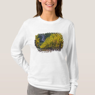 South Australia, Adelaide Hills, Summertown. 2 T-Shirt