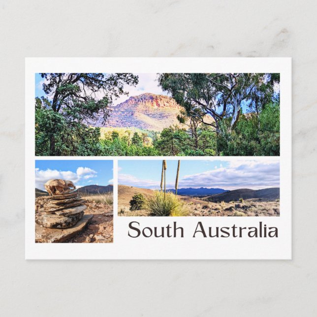 South Australia Postcard (Front)