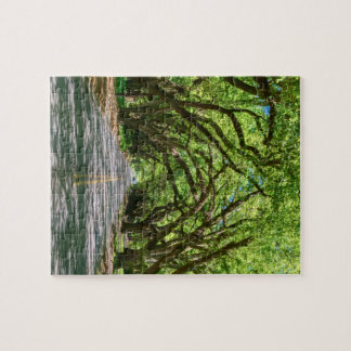 South Boundary Green Glow Jigsaw Puzzle