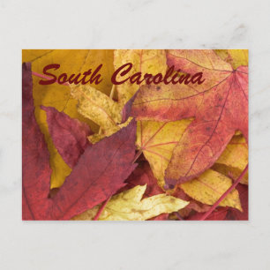 South Carolina Autumn Leaves Postcard