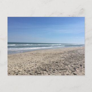 South Carolina Beach Shoreline Postcard