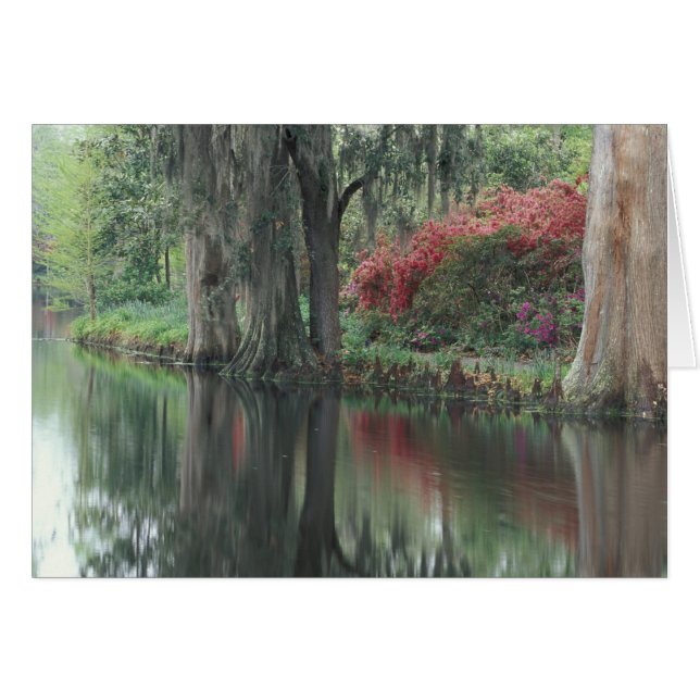 South Carolina, Charleston (Front Horizontal)