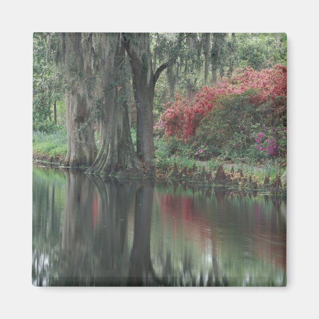 South Carolina, Charleston Magnet (Front)