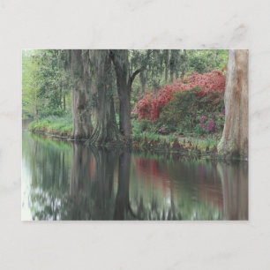 South Carolina, Charleston Postcard