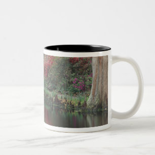 South Carolina, Charleston Two-Tone Coffee Mug