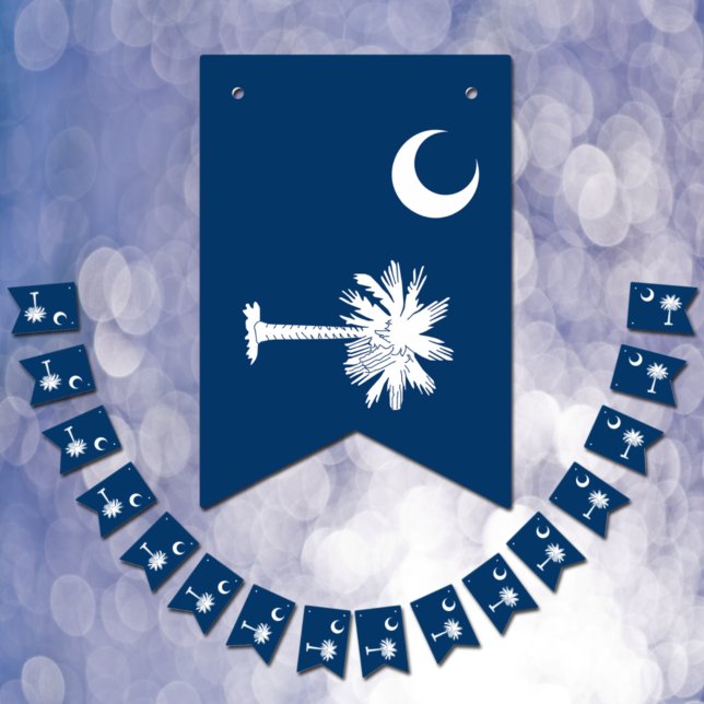 South Carolina Flag Party, bunting Banner /Wedding (Creator Uploaded)