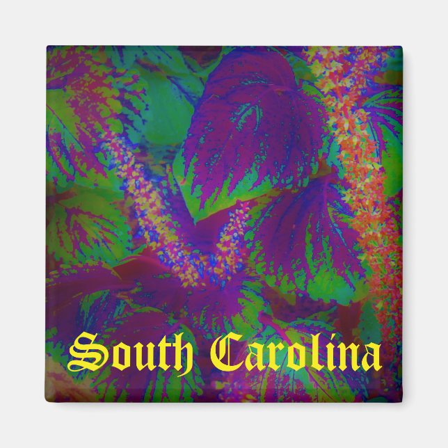 South Carolina magnet (Front)