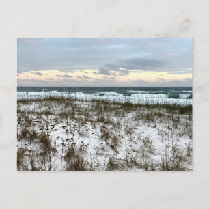 South Carolina Original Travel Photography Postcard