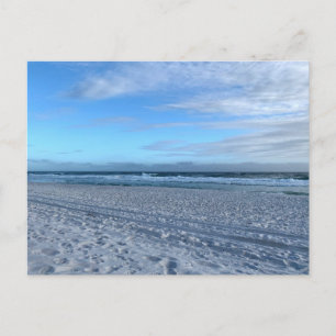 South Carolina Original Travel Photography Postcard