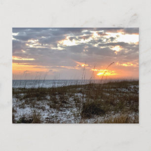 South Carolina Original Travel Photography Postcard