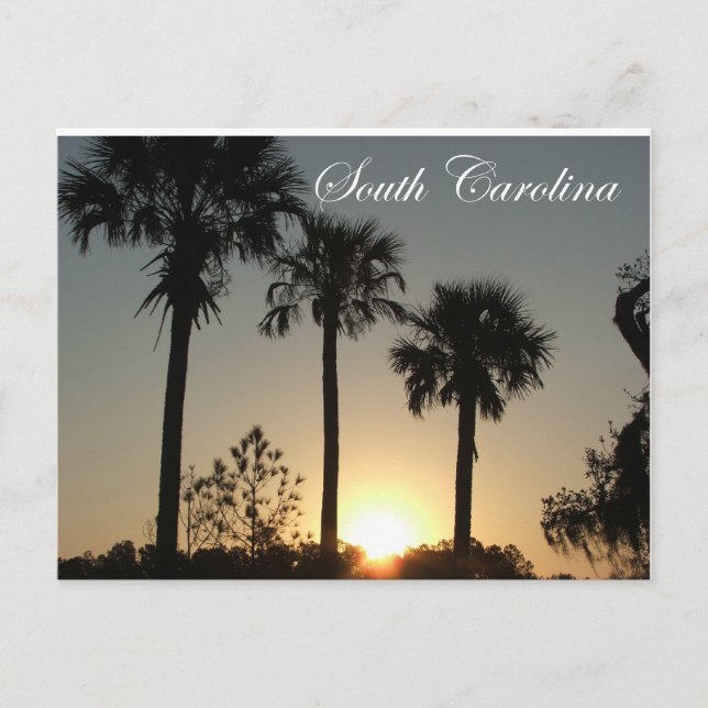 South Carolina Palmetto Sunrise Postcard (Front)
