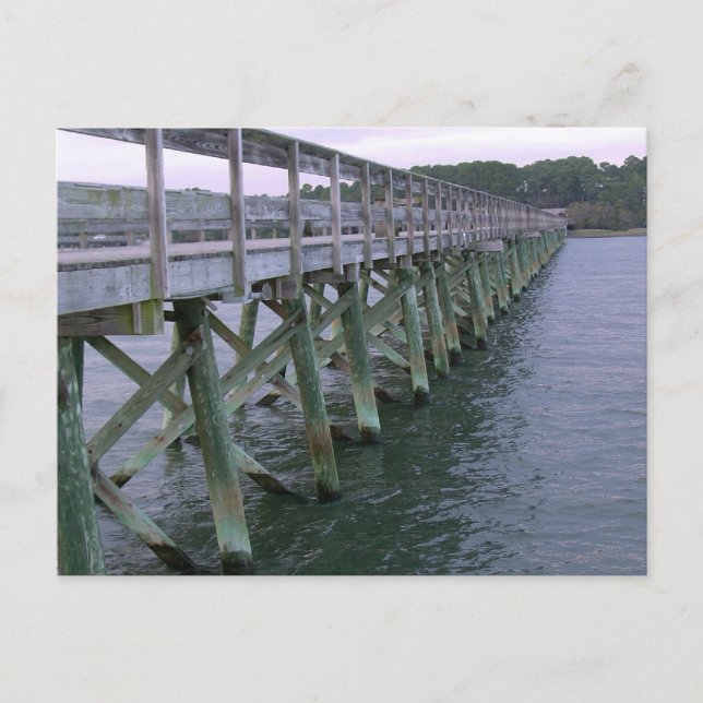 South Carolina Pier Postcard (Front)