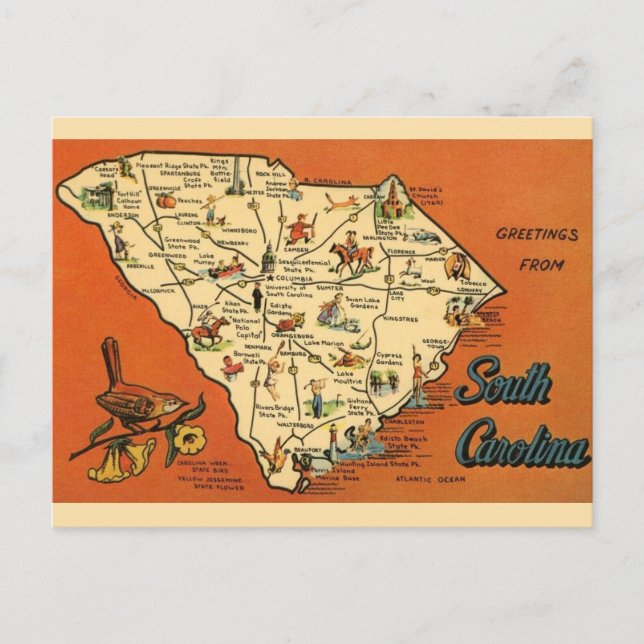 South Carolina  Postcard (Front)