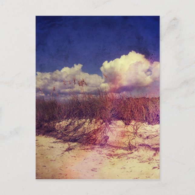 South Carolina Sand Dunes Postcard (Front)