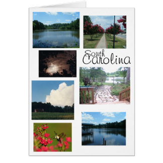 South Carolina Scenes