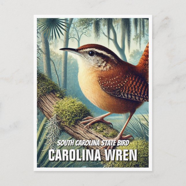 South Carolina State Bird Carolina Wren Postcard (Front)
