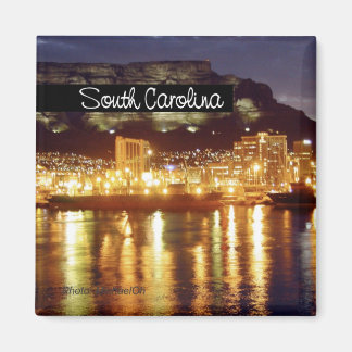 South Carolina State Travel Souvenir Fridge Magnet
