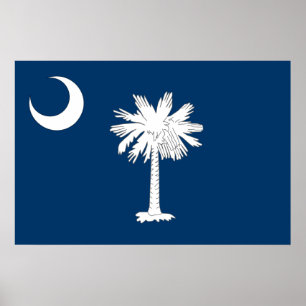 South Carolina, United States flag Poster