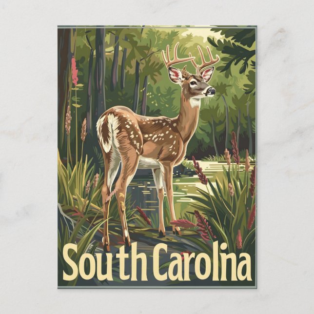 South Carolina White-tailed deer Postcard (Front)