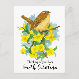 South Carolina Wren Bird Thinking of You Postcard