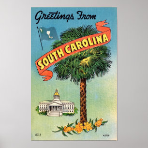 South Carolina's Palmetto Palm 11x17 Print