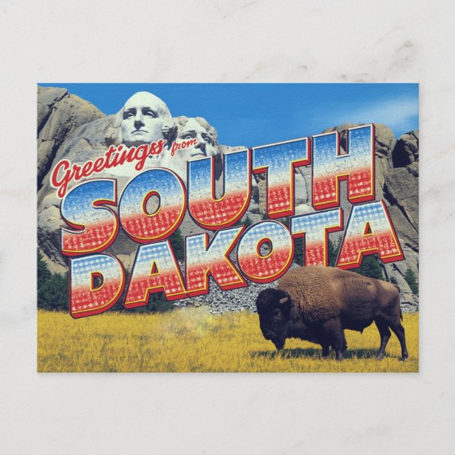 South Dakota Mount Rushmore Bison Postcard (Front)