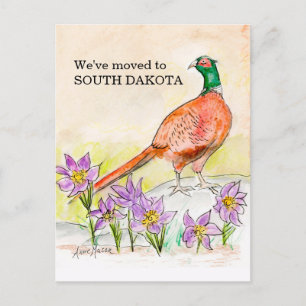 South Dakota Postcard