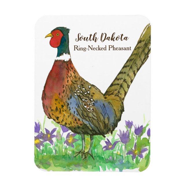 South Dakota Ring Necked Pheasant Prairie Crocus Magnet (Vertical)