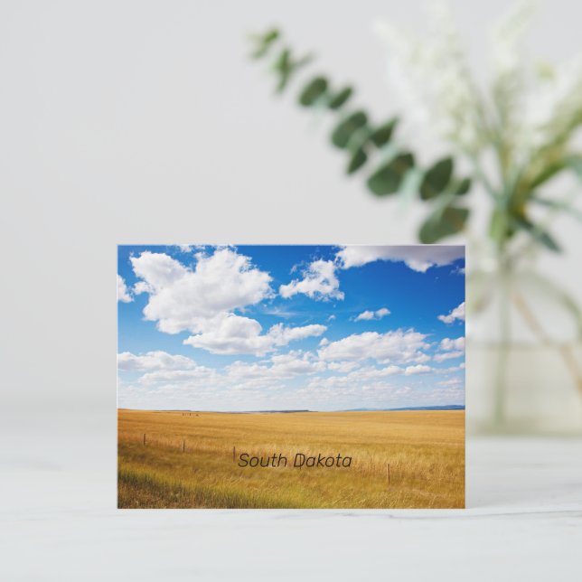 South Dakota rural landscape photograph Postcard (Standing Front)