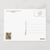 South Dakota State Flower: Pasque Flower Postcard (Back)