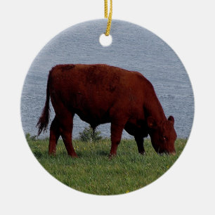 South Devon cow on remote coastline Ceramic Tree Decoration