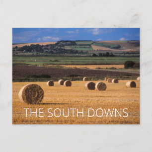 South Downs Postcard