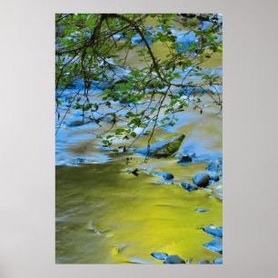 South Fork Wilson River, Oregon Poster