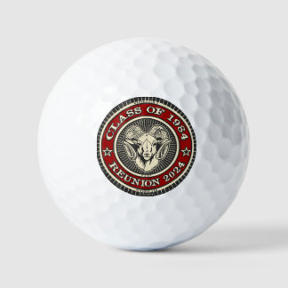 South Gate High School Class of 1984 - Golf Balls