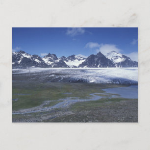 South Georgia Island, Salisbury Plain, Postcard
