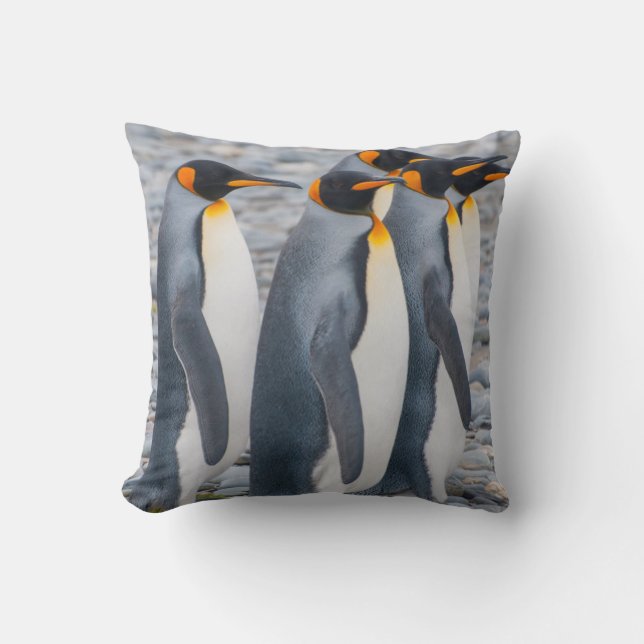 South Georgia. King penguins Cushion (Front)