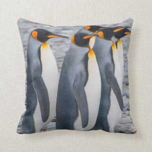 South Georgia. King penguins Cushion