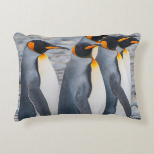 South Georgia. King penguins Decorative Cushion