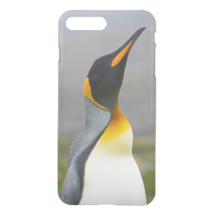 South Georgia. Saint Andrews. King penguin 2 iPhone 8 Plus/7 Plus Case